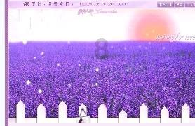 逃离沙漠小镇